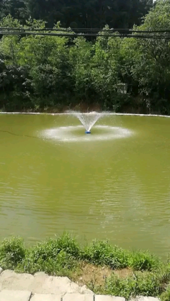 平坝沙石冲钓鱼园