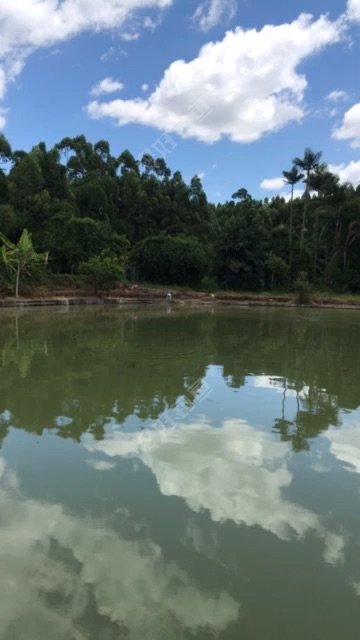厦门天水垂钓园