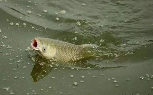 cjd0iVkugtRLhrcKjGHXT0SCUQWiw.jpeg