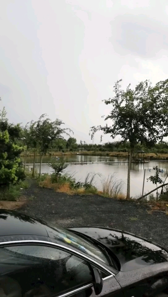 春岳华仔休闲钓场