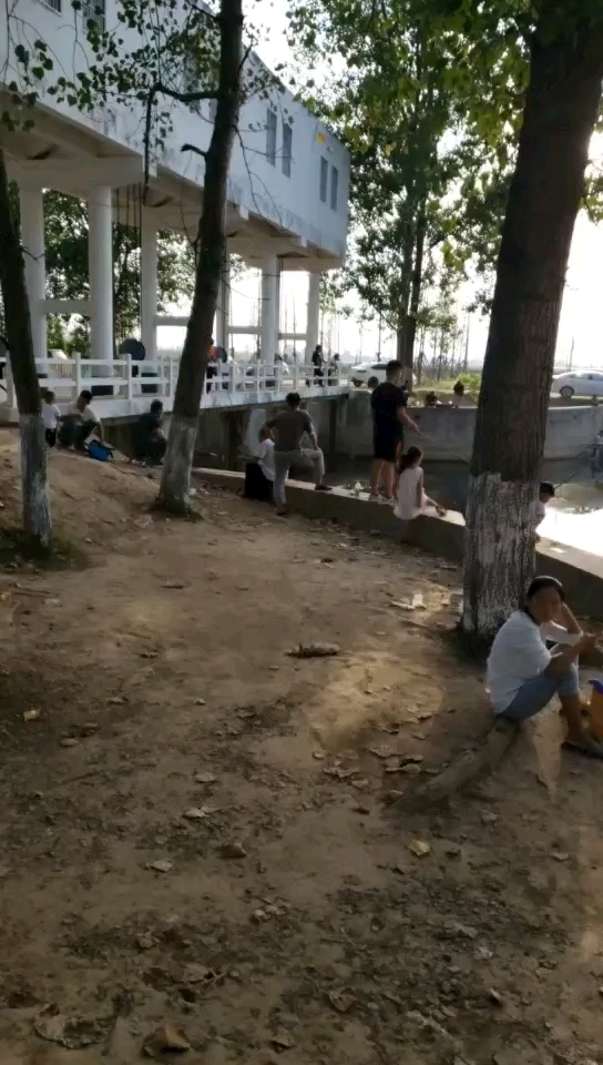 丰楼水闸钓场