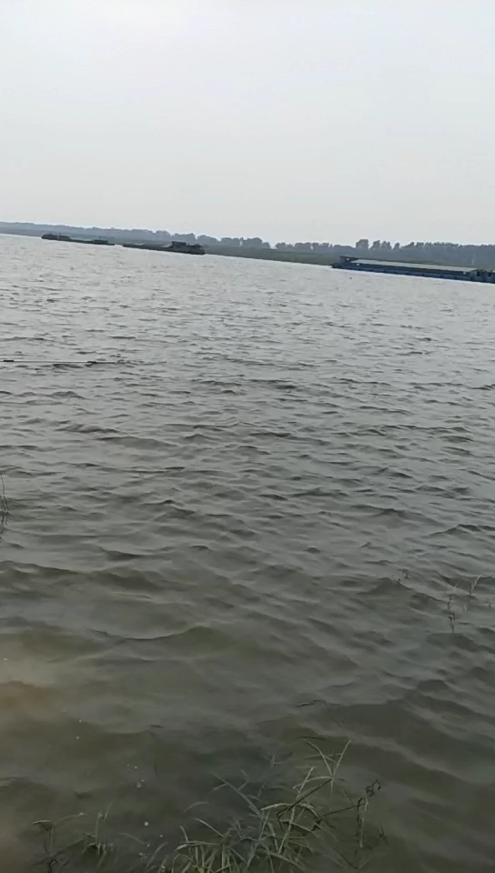 淮河沫河口钓场