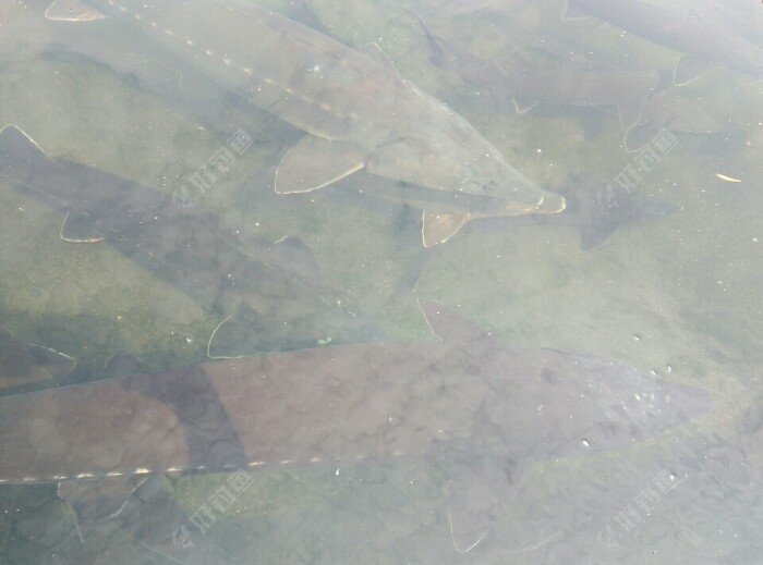 cjd0iVrXPs27VLKyjU3SZkg8Bdowu.jpeg
