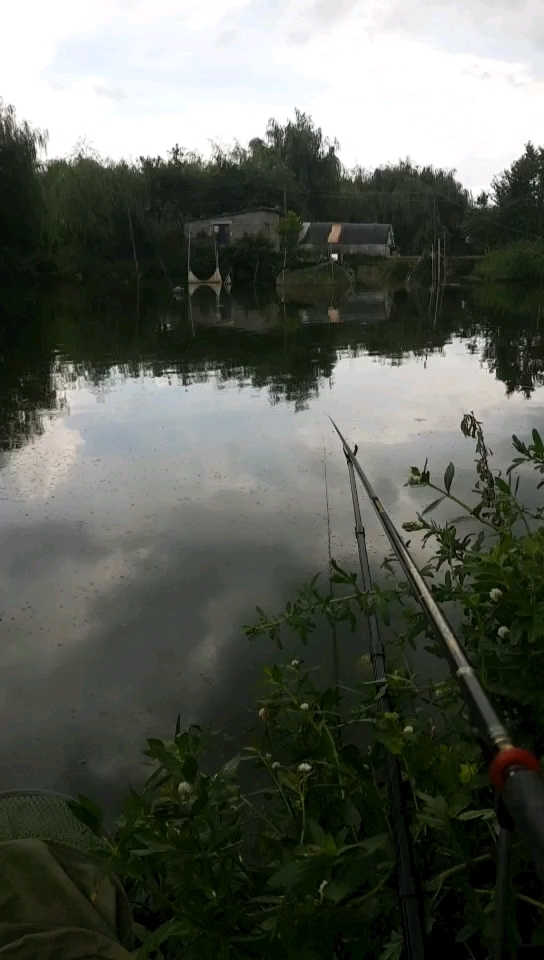 宜良县许家凹鱼塘