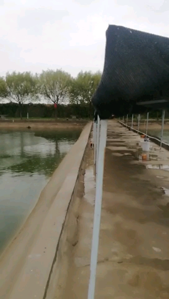 聚客来休闲垂钓