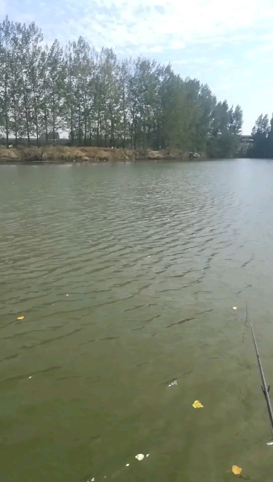 花园大桥垂钓园