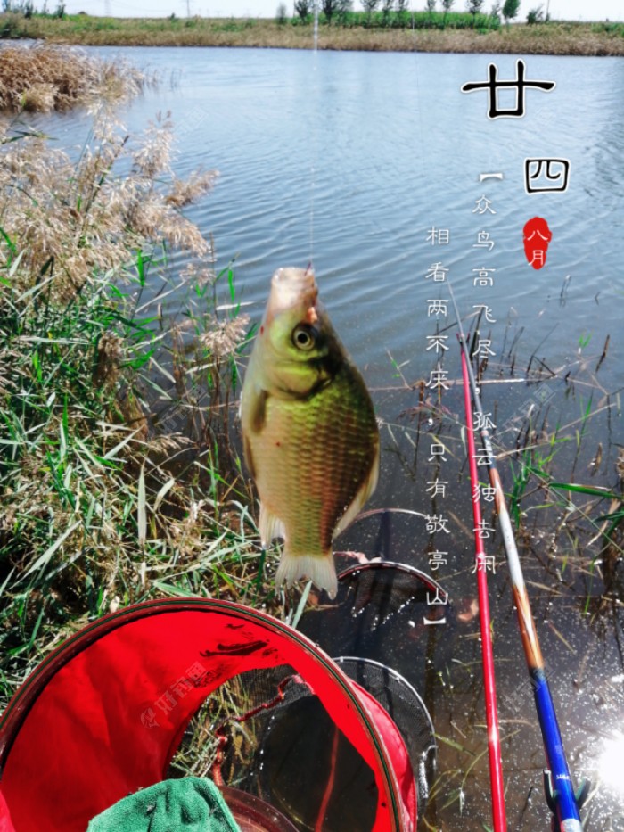 过瘾了，好长时间没有这么痛快了！