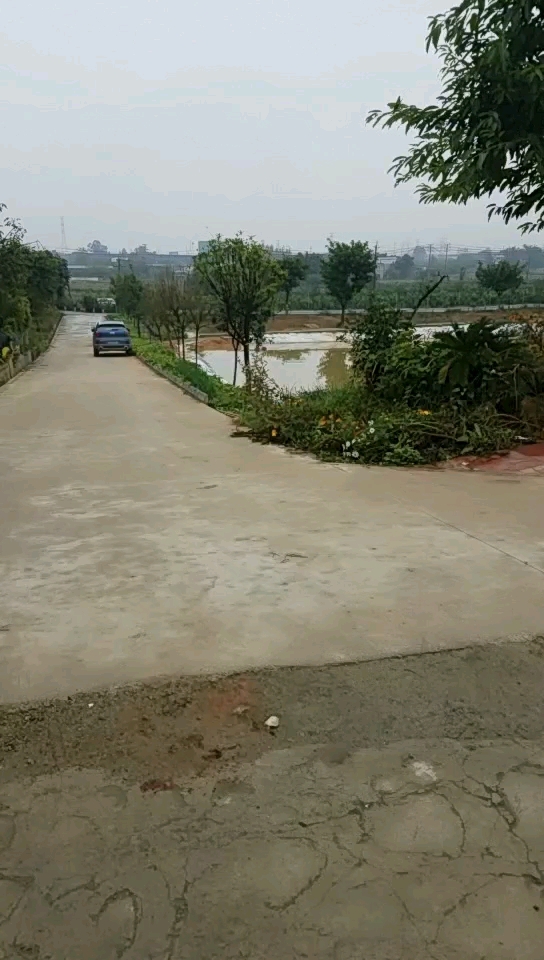 锦上添花垂钓园