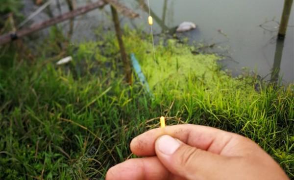 cjd0iV6GVn3DRahKQFPlEUjW7yt2e.jpeg