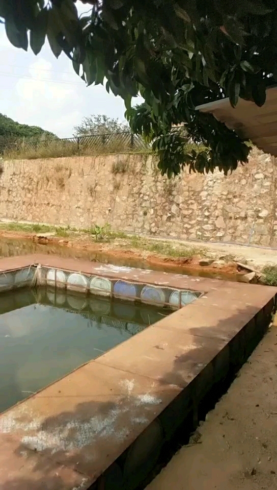 有南山水钓鱼场