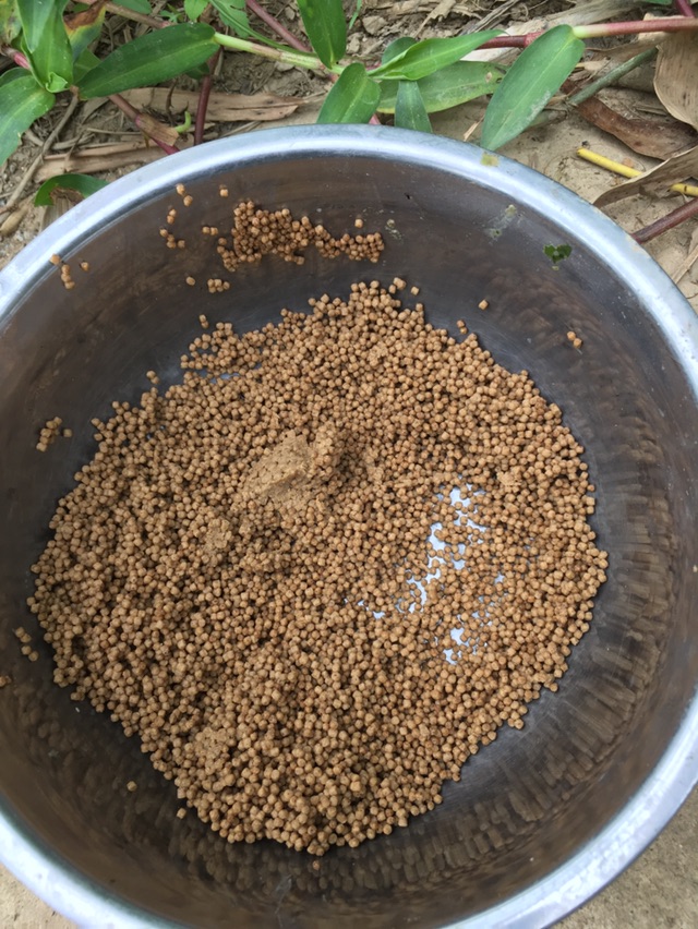 有点腥香味的高蛋白草鱼伺料