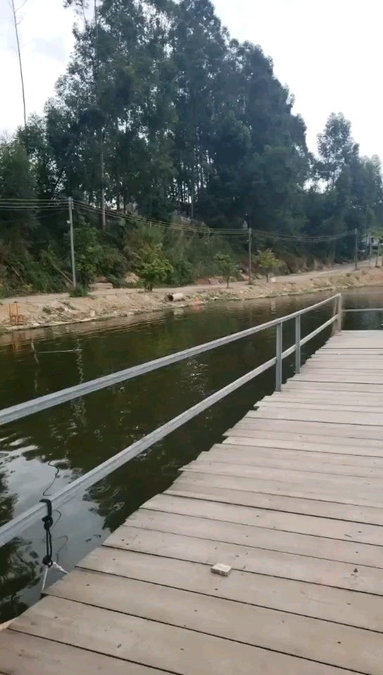 坑头白岗野钓场