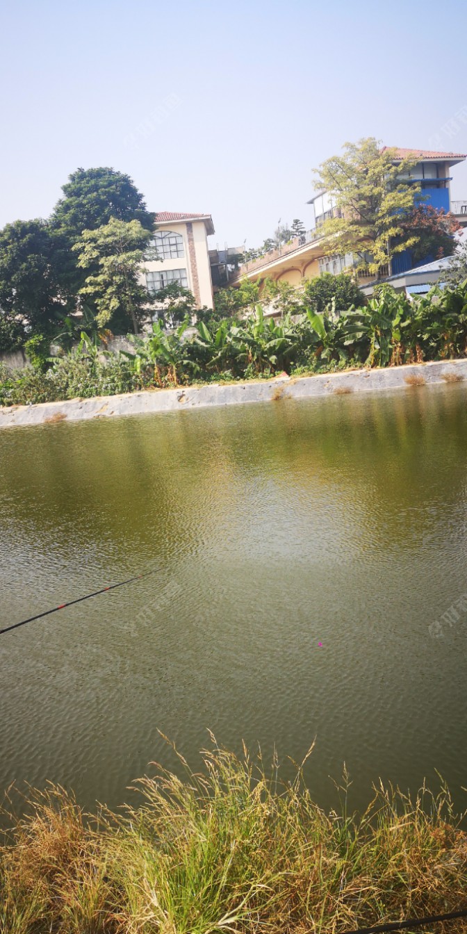 根本没有几个人在钓鱼，我来