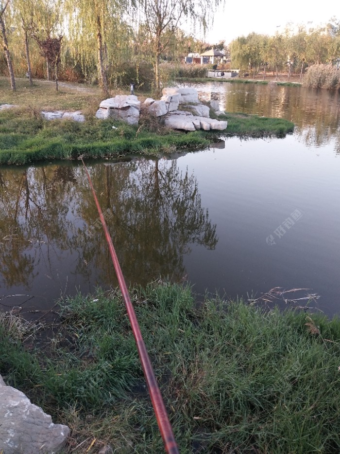 这是一个观赏池的入水口！