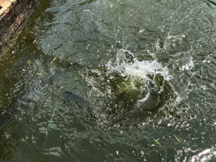 金家湾（霖源别院）