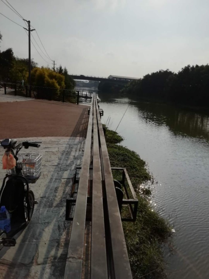 广州番禺沙湾镇龙湾河