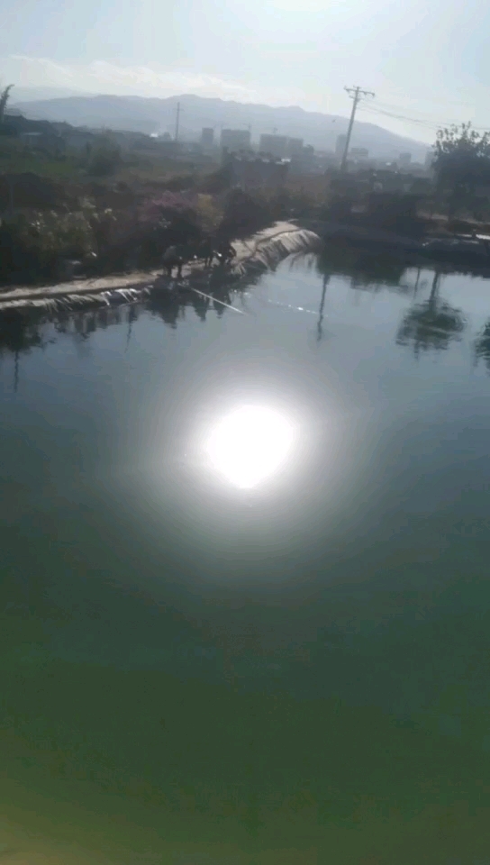 鑫丽餐饮垂钓园