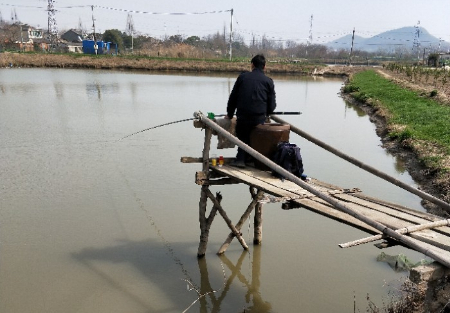 焦湾潘家村前老王鱼塘