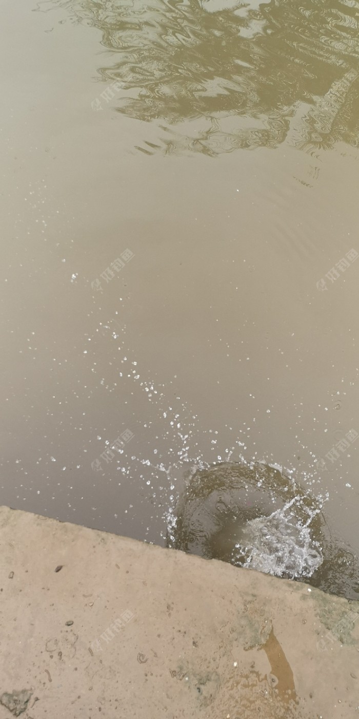 今天的鱼获全部放流了，现在