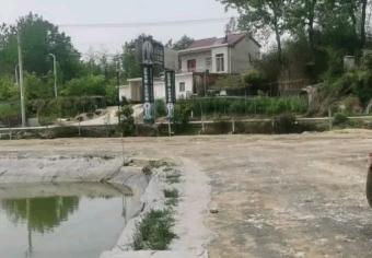 金叶大物垂钓中心