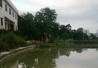 窑上沟何老二鱼塘