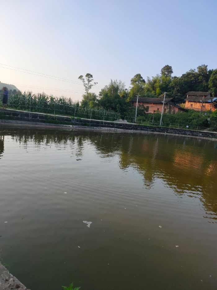 南彭新房子垂钓中心