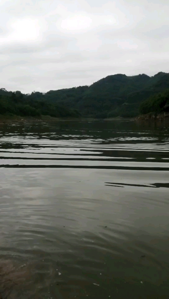 沐川舟坝牛三溪