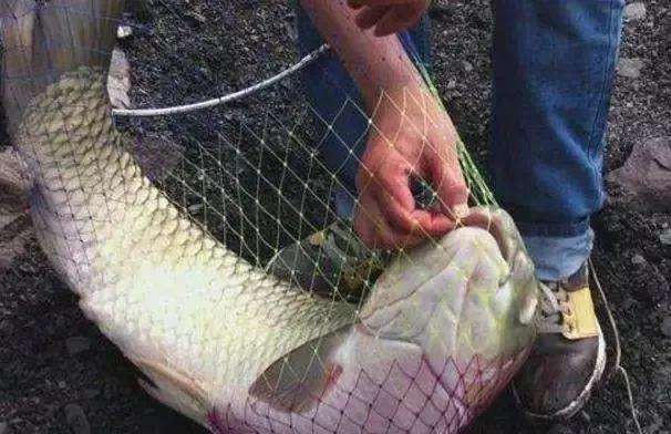 恒生南山郡附近