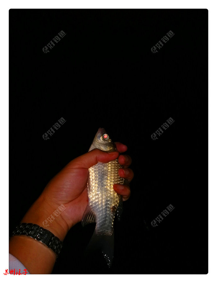 cjd0iV7-KnROsZqFWMDxzlpdLo0rI.jpg