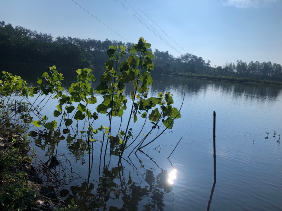 夹子沟水库