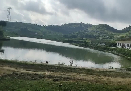 甘场坝鱼塘