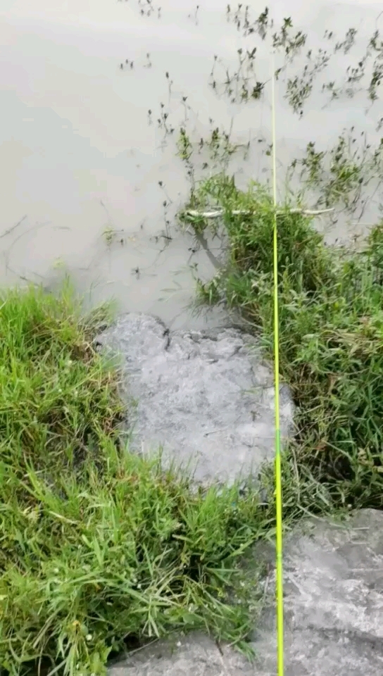 清水河公园里面