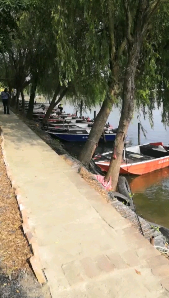 溱湖国际路亚基地