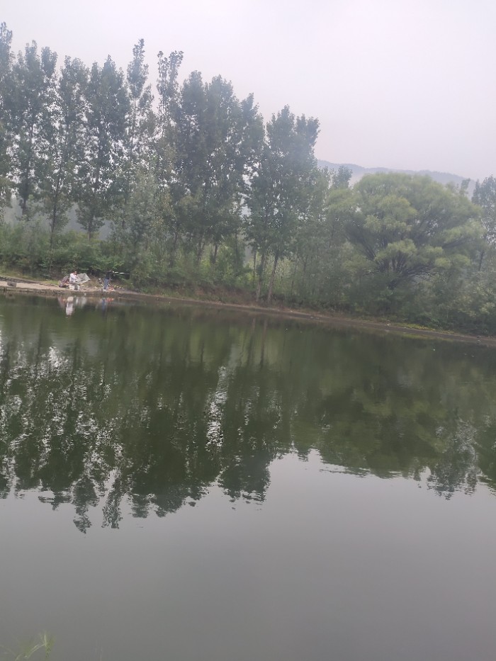 崮山坡庄朱老四鱼鱼池