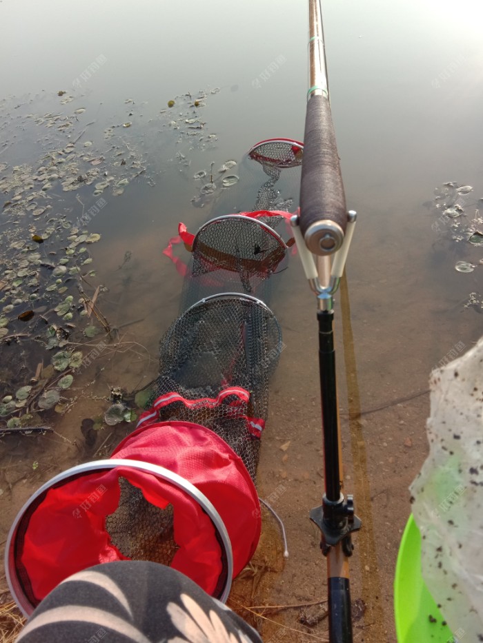 鱼护也是红色，老公新买的，