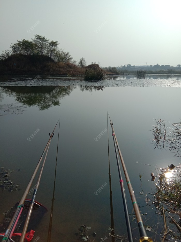 没啥口，小奶鲫随钓随放，十
