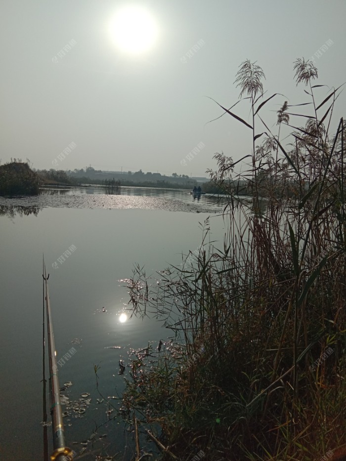 划皮艇下网的来了，一个劲在