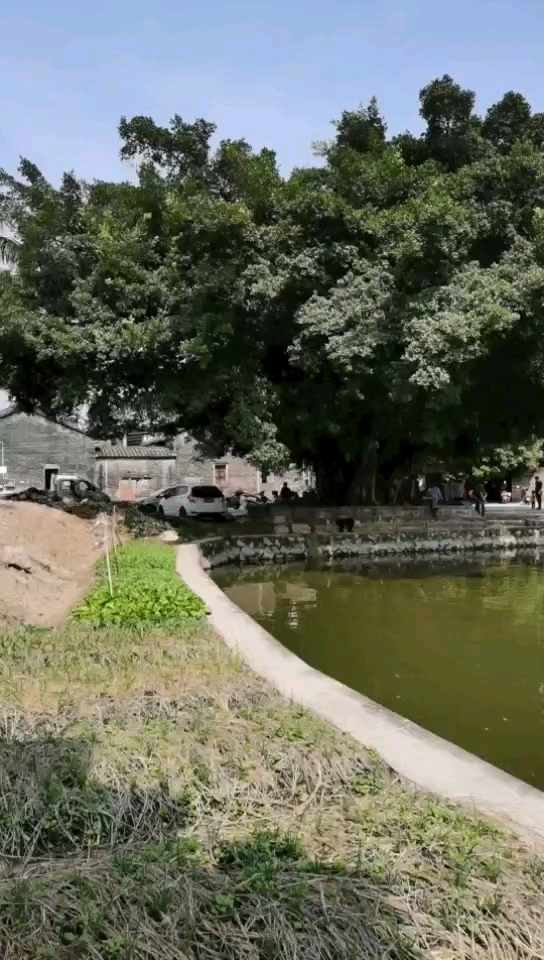 江门路亚手感塘