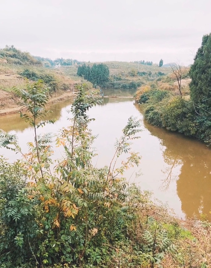 开江甘棠大兴庙（唐家冲）小未鱼塘