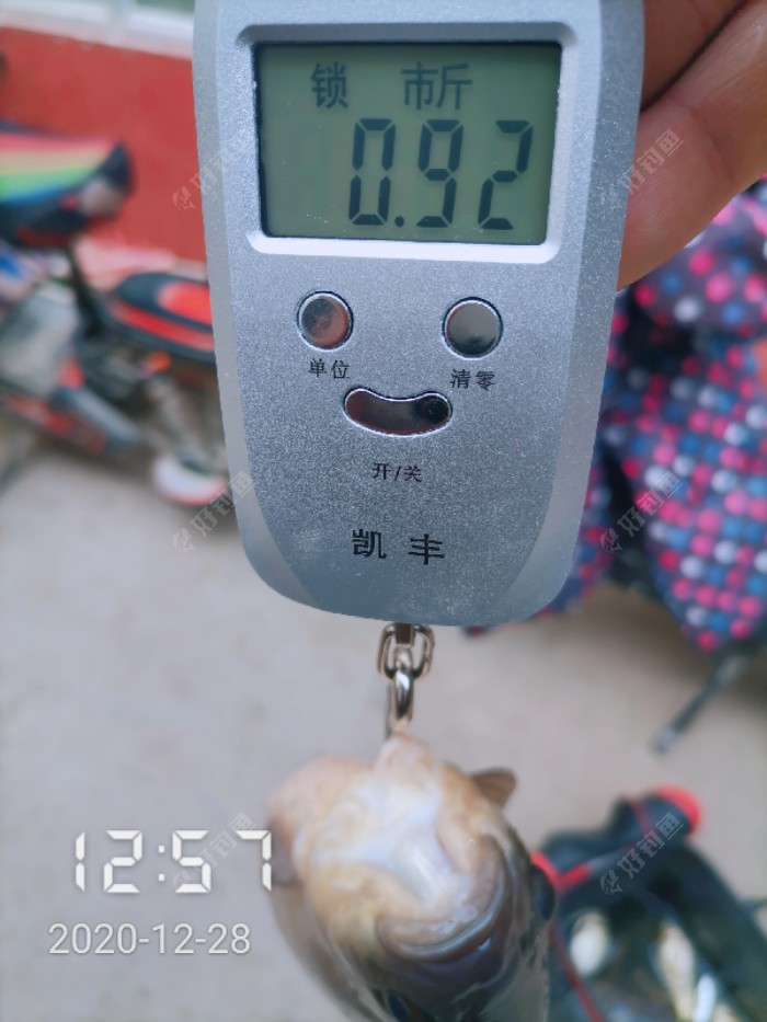 cjd0iVa348t2N7UR6Ir-zpJvkMLqB.jpeg