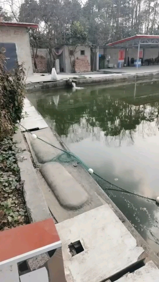 彰明龙娃子钓场