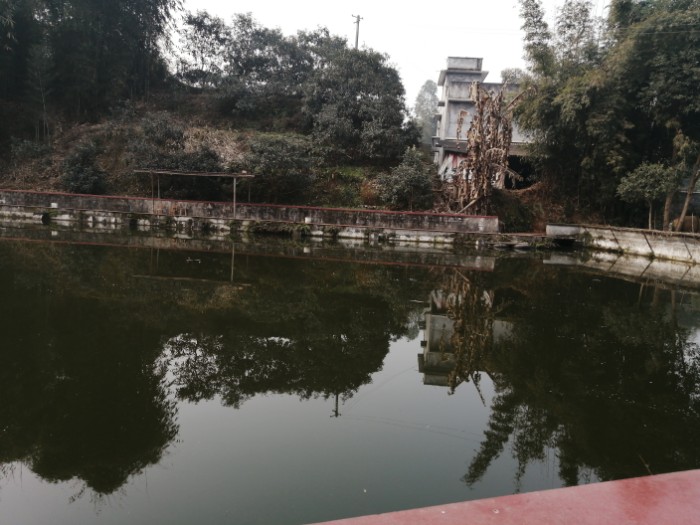 王湾鱼塘