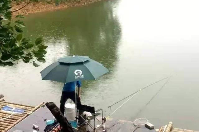 下雨时，一旦换用这鲫鱼钓法，中鱼率瞬间提高
