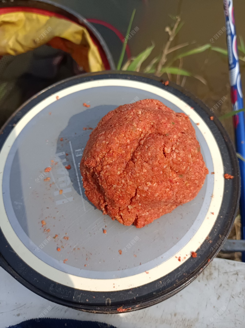 饵料状态还是马马虎虎！！