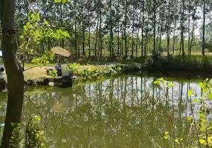 城西生态垂钓园