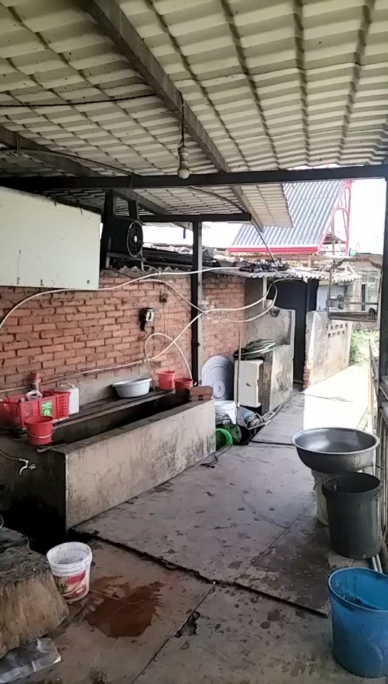 龙潭凹刘建宇养殖场