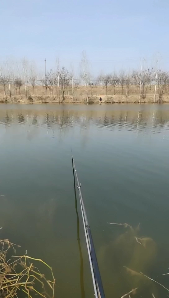 杨屯孔庄村南大堰。