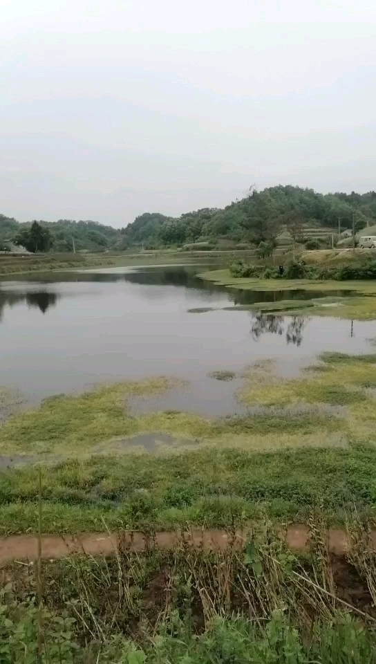 观音阁水库