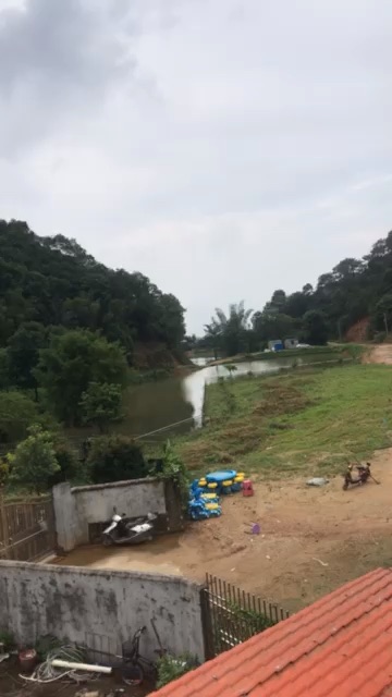 大隆山塘钓鱼场