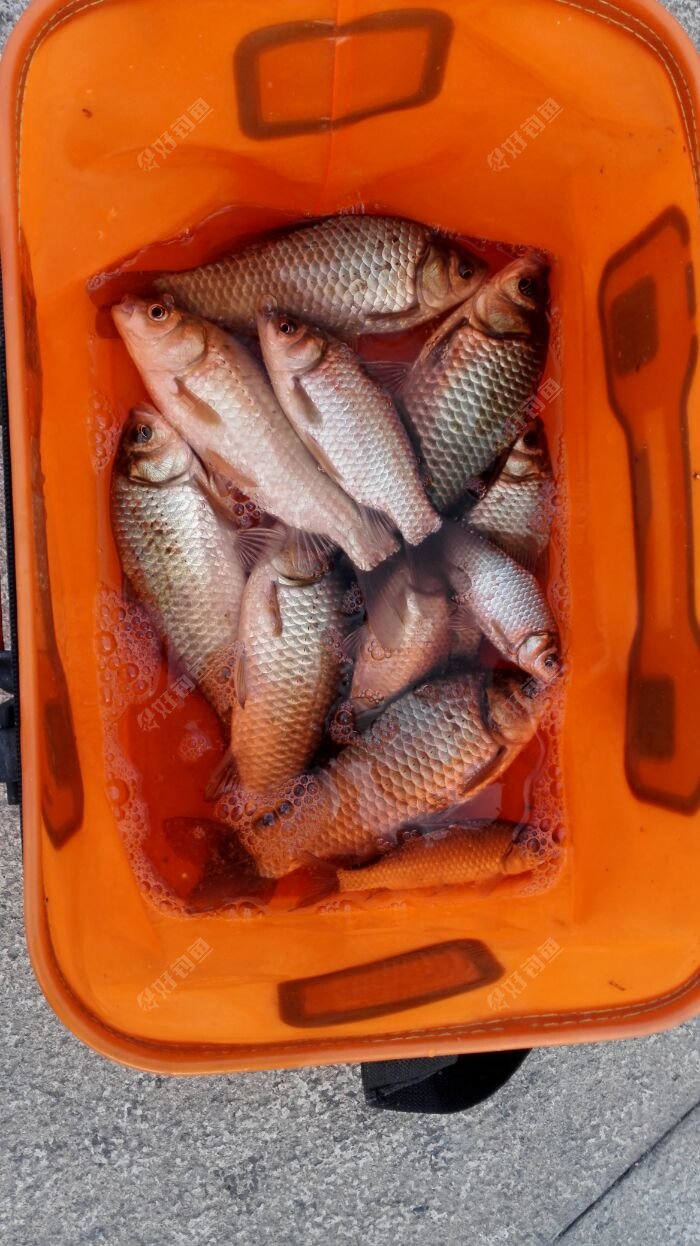 简单点,钓鱼的方式简单点